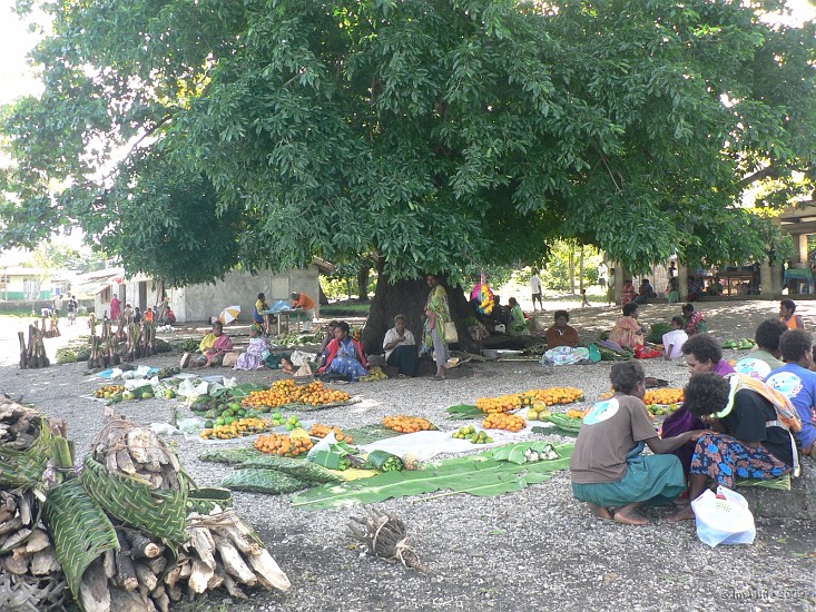 53- Le marche de Lenakel.JPG